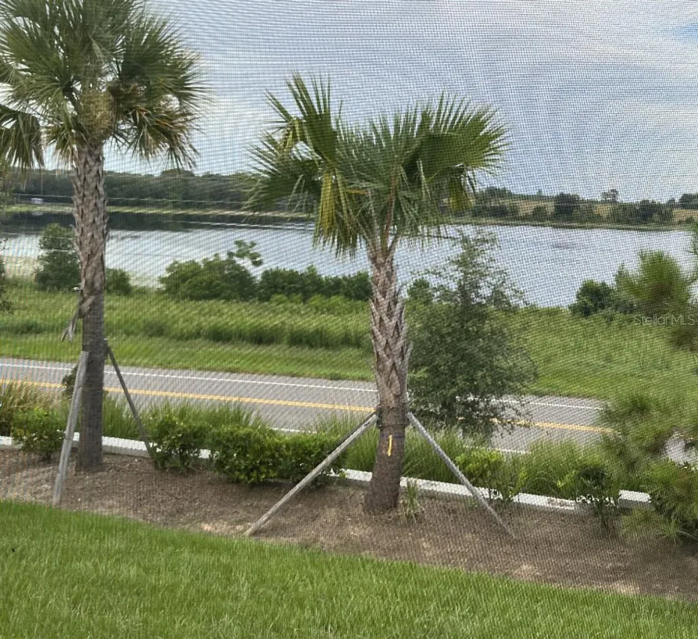 7118 ROLLING LEAF ROAD Groveland, FL 34736