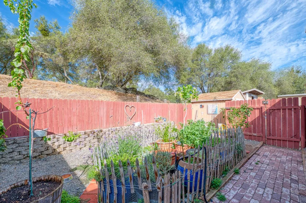44585 Spring Hill Road Coarsegold, CA 93614