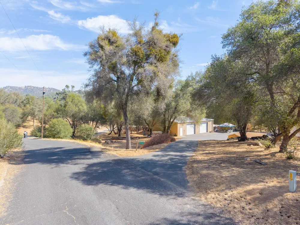 44585 Spring Hill Road Coarsegold, CA 93614