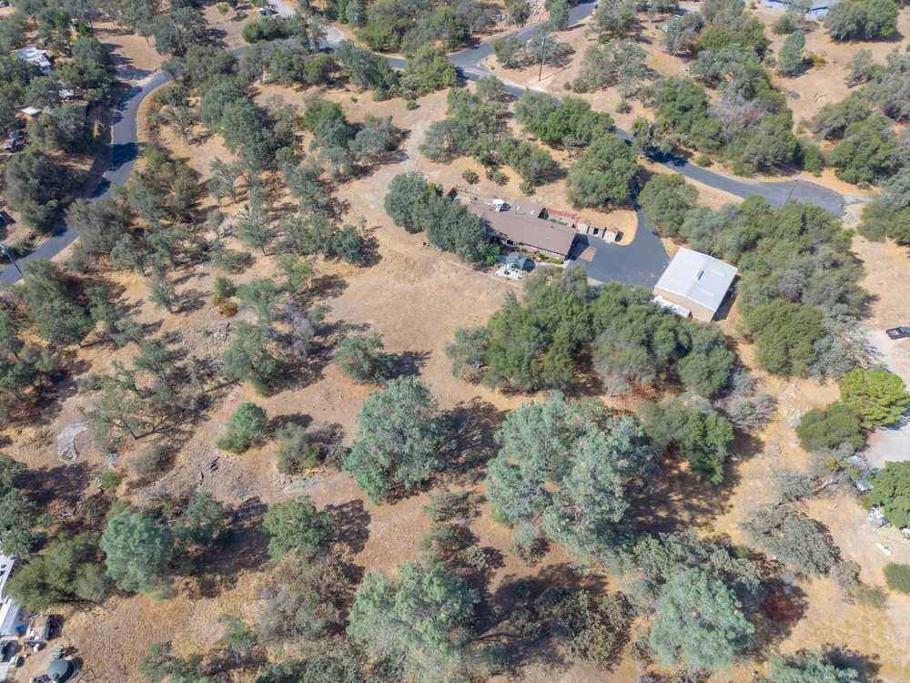 44585 Spring Hill Road Coarsegold, CA 93614
