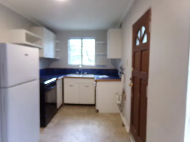 4005 Maplewood Avenue #B Austin, TX 78722