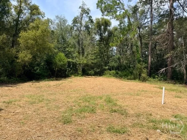 81 Daphney Lane Statesboro, GA 30458