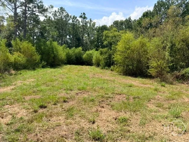 81 Daphney Lane Statesboro, GA 30458