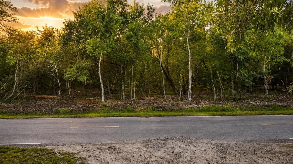 County Road 647 Guy, TX 77444