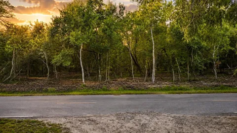 County Road 647