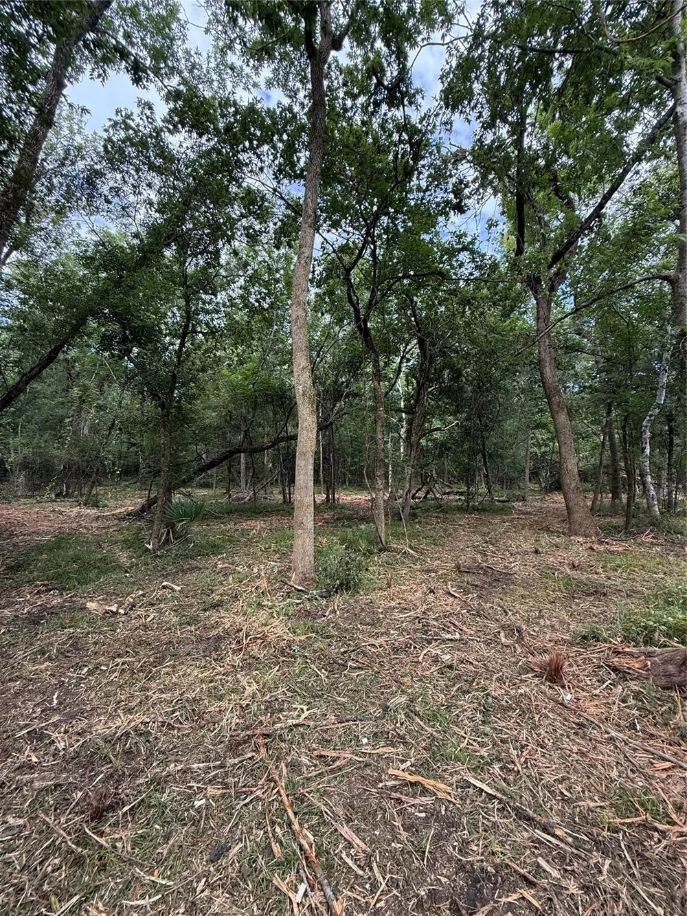 County Road 647 Guy, TX 77444