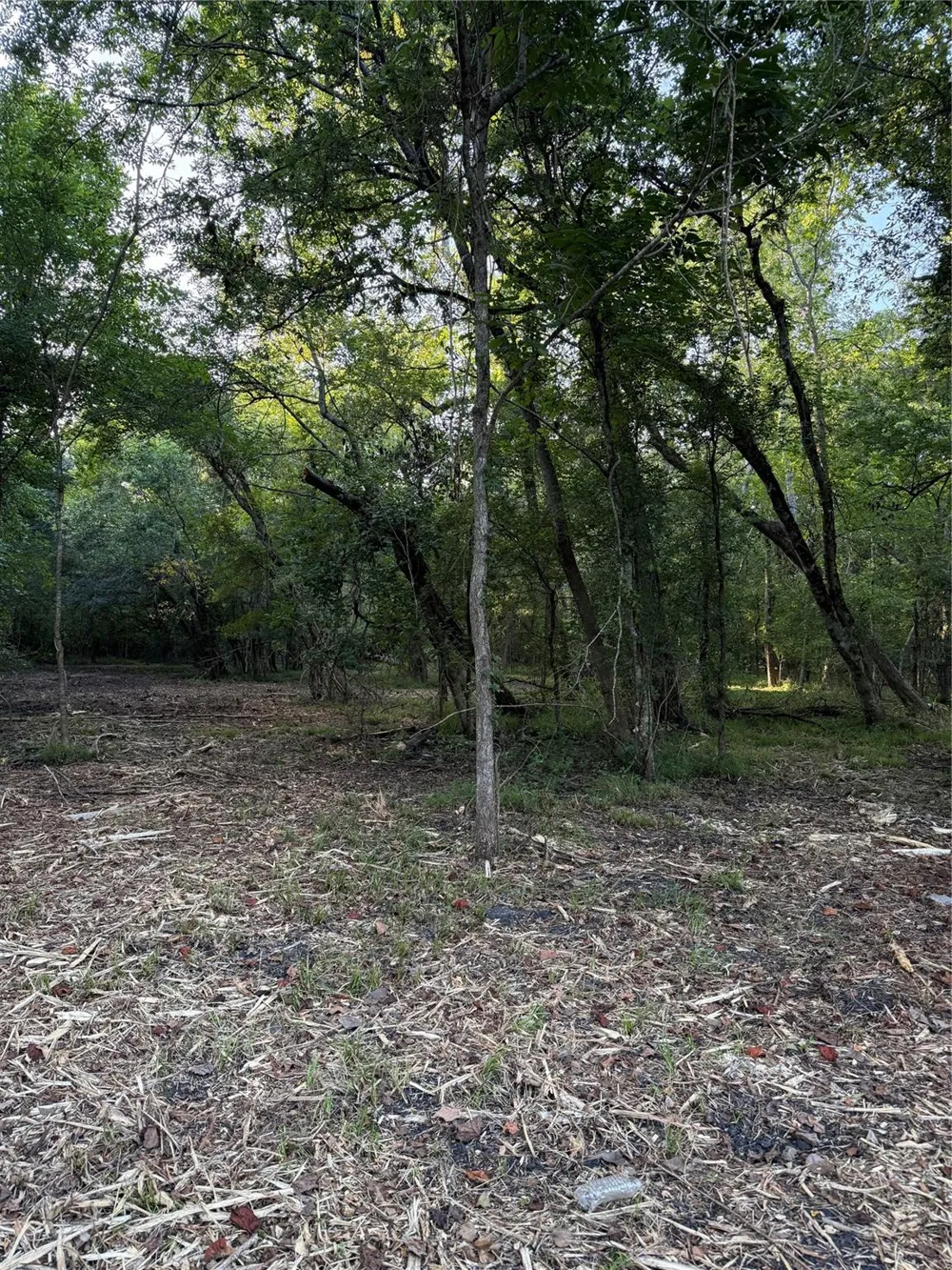 County Road 647 Guy, TX 77444