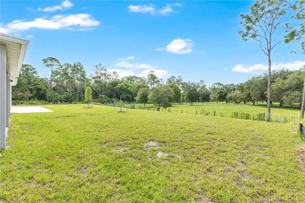 6030 CHESTNUT GROVE PLACE St Cloud, FL 34771