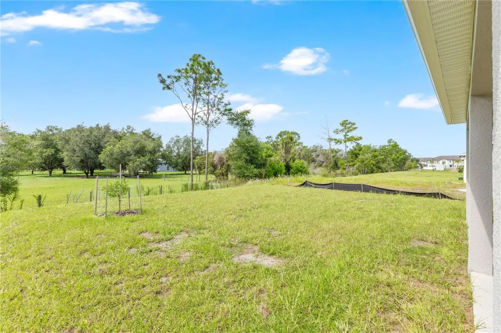 6030 CHESTNUT GROVE PLACE St Cloud, FL 34771