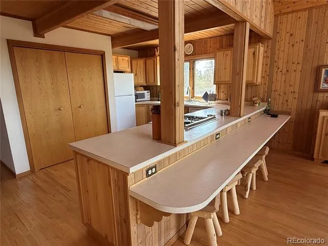 153 Tahmoush Lane Fort Garland, CO 81133