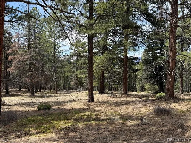 153 Tahmoush Lane Fort Garland, CO 81133