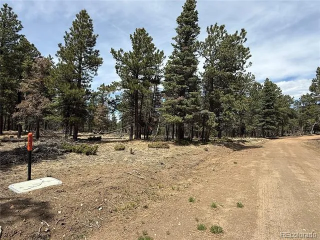153 Tahmoush Lane Fort Garland, CO 81133