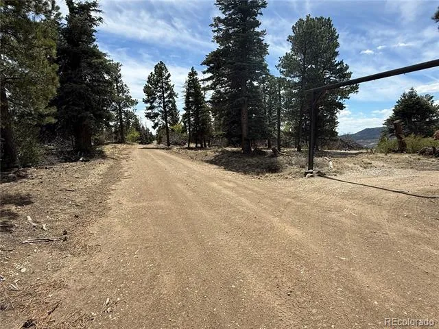 153 Tahmoush Lane Fort Garland, CO 81133