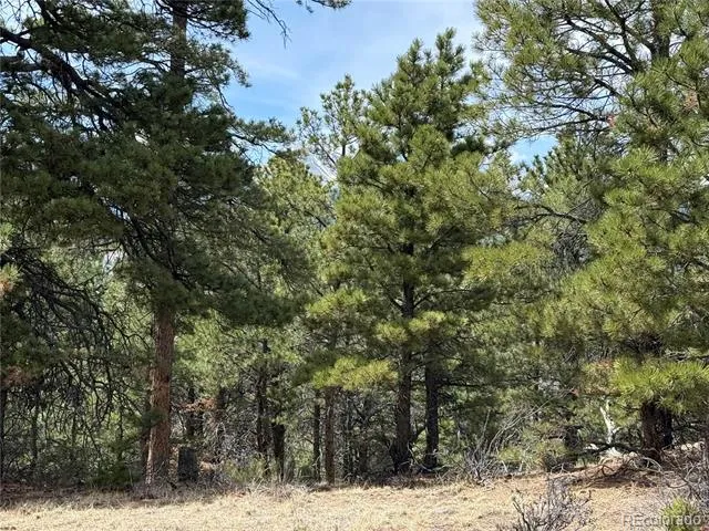153 Tahmoush Lane Fort Garland, CO 81133