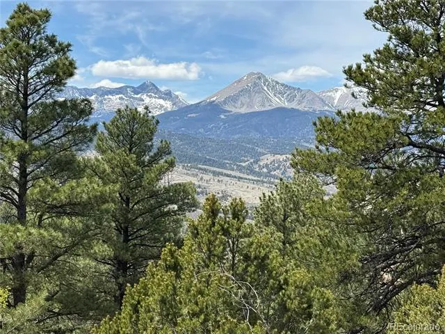 153 Tahmoush Lane Fort Garland, CO 81133