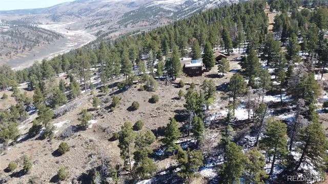 153 Tahmoush Lane Fort Garland, CO 81133