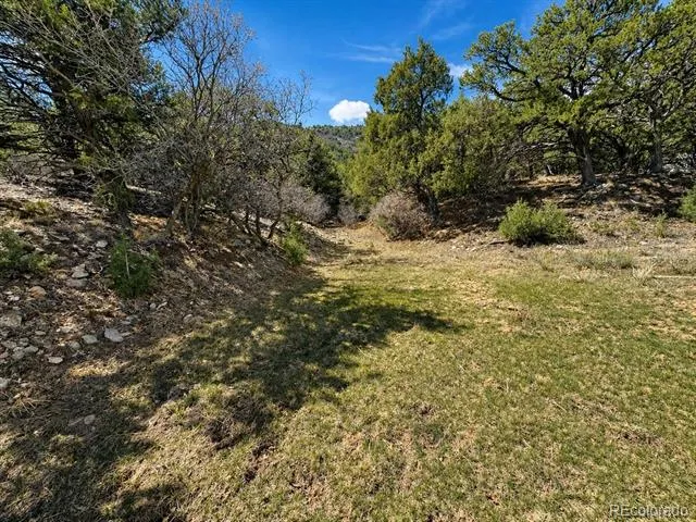 TBD - Lot 36 Corral Texas Creek, CO 81223