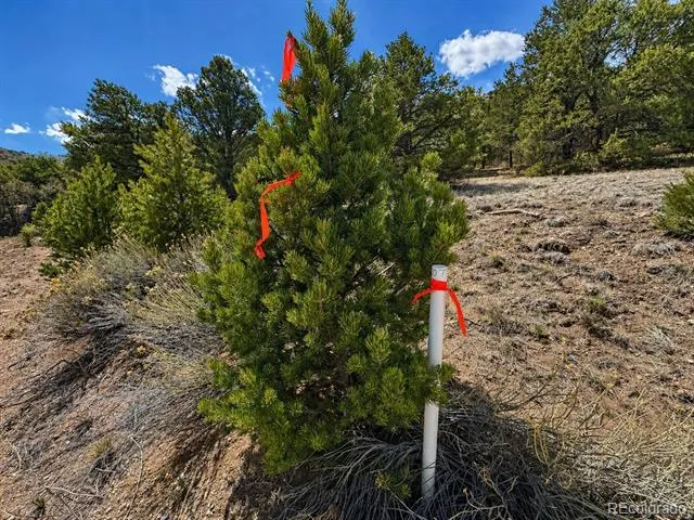 TBD - Lot 36 Corral Texas Creek, CO 81223