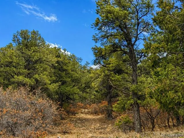 TBD - Lot 36 Corral Texas Creek, CO 81223