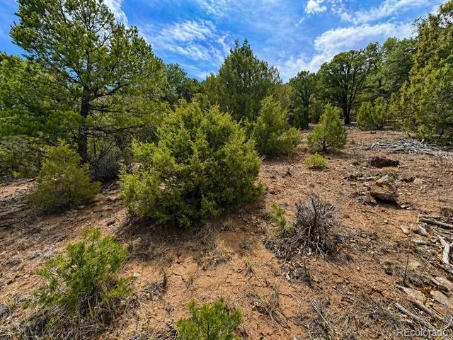 TBD - Lot 36 Corral Texas Creek, CO 81223