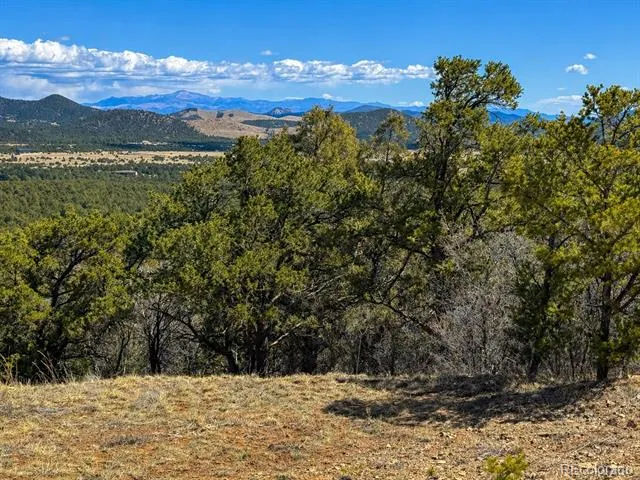 TBD - Lot 36 Corral Texas Creek, CO 81223