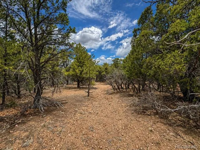 TBD - Lot 36 Corral Texas Creek, CO 81223