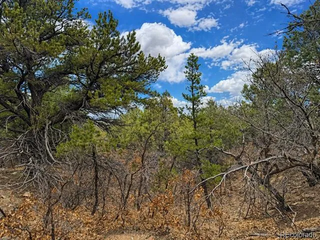 TBD - Lot 36 Corral Texas Creek, CO 81223