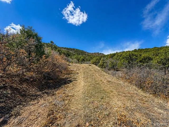 TBD - Lot 36 Corral Texas Creek, CO 81223
