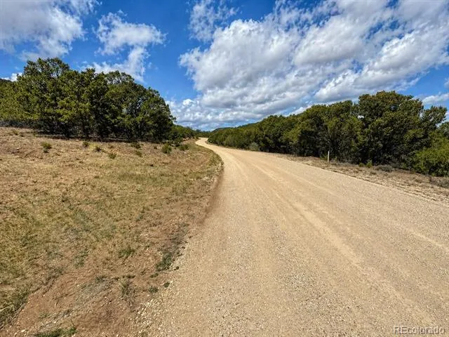 TBD - Lot 36 Corral Texas Creek, CO 81223