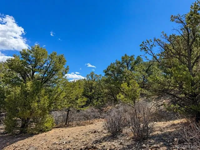TBD - Lot 36 Corral Texas Creek, CO 81223