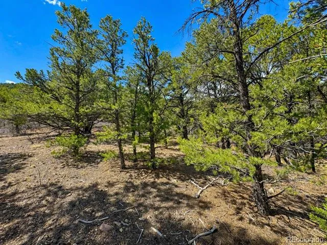 TBD - Lot 36 Corral Texas Creek, CO 81223