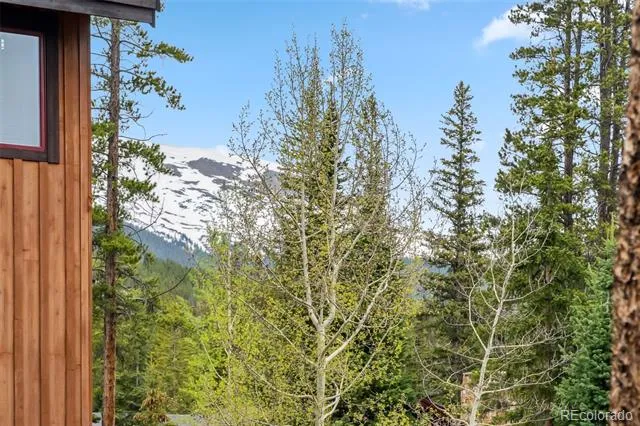 1152 Ski Hill Road Breckenridge, CO 80424