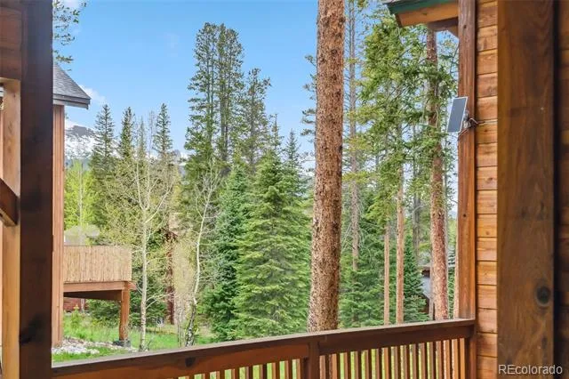 1152 Ski Hill Road Breckenridge, CO 80424