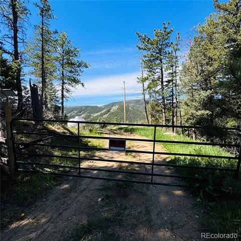 17222 Little Shadow Trail