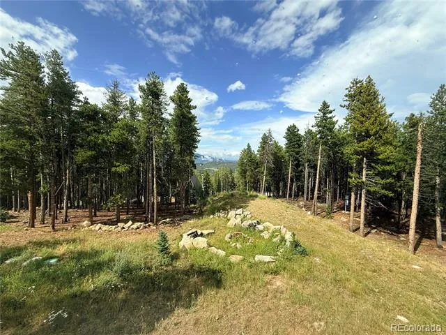 227 Ouray Road Evergreen, CO 80439