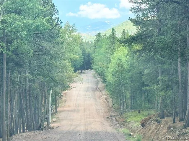 227 Ouray Road Evergreen, CO 80439