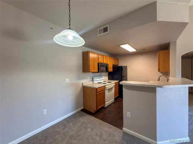 7440 S Blackhawk Street #8303 Englewood, CO 80112