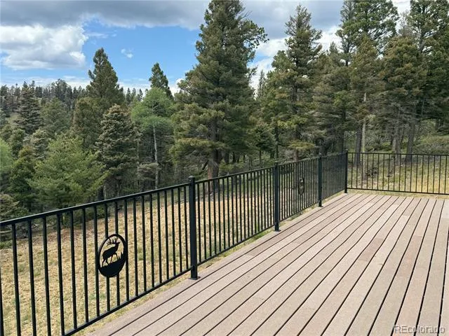 217 Greaves Lane Fort Garland, CO 81133