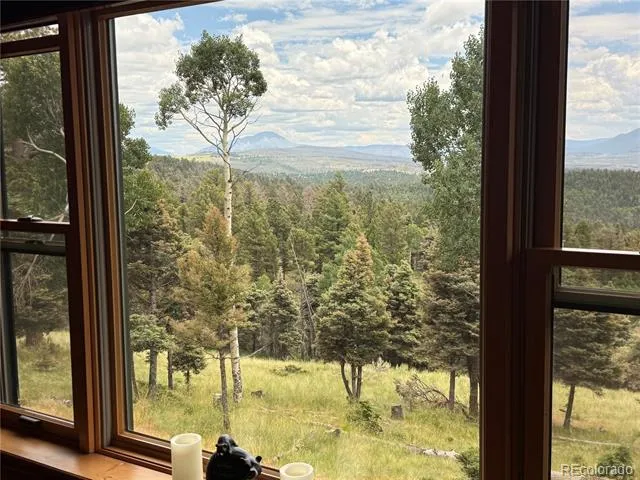 217 Greaves Lane Fort Garland, CO 81133