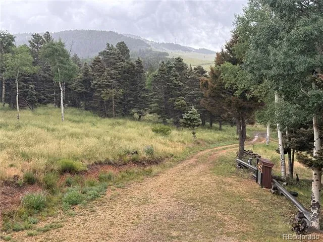 217 Greaves Lane Fort Garland, CO 81133