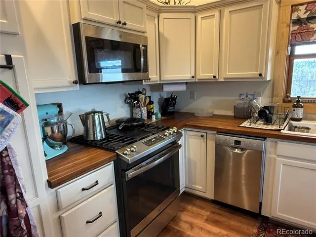 406-449 Schierl Road Fort Garland, CO 81133