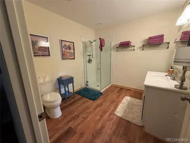 406-449 Schierl Road Fort Garland, CO 81133