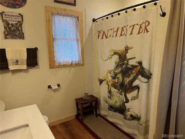 406-449 Schierl Road Fort Garland, CO 81133