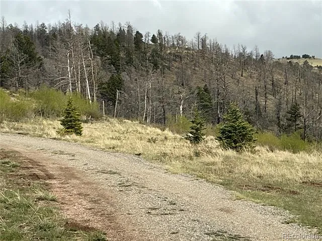 406-449 Schierl Road Fort Garland, CO 81133