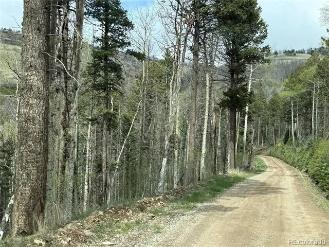 406-449 Schierl Road Fort Garland, CO 81133