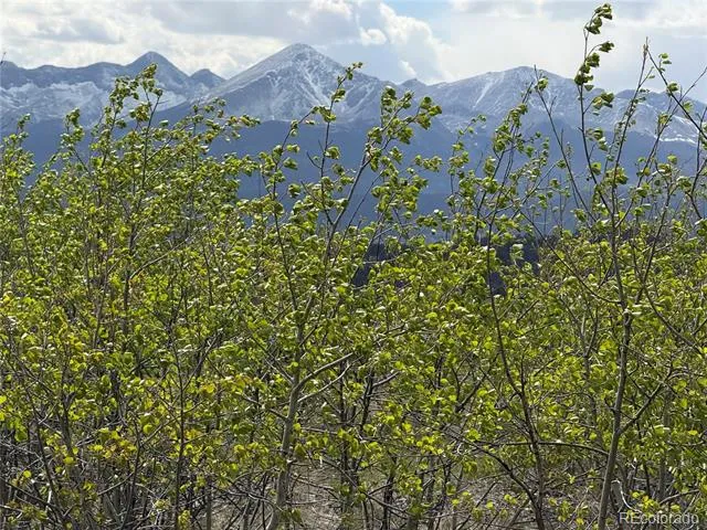 406-449 Schierl Road Fort Garland, CO 81133