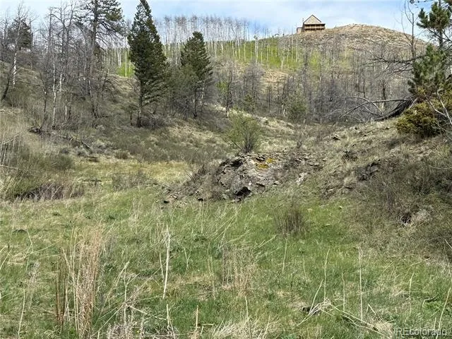 406-449 Schierl Road Fort Garland, CO 81133