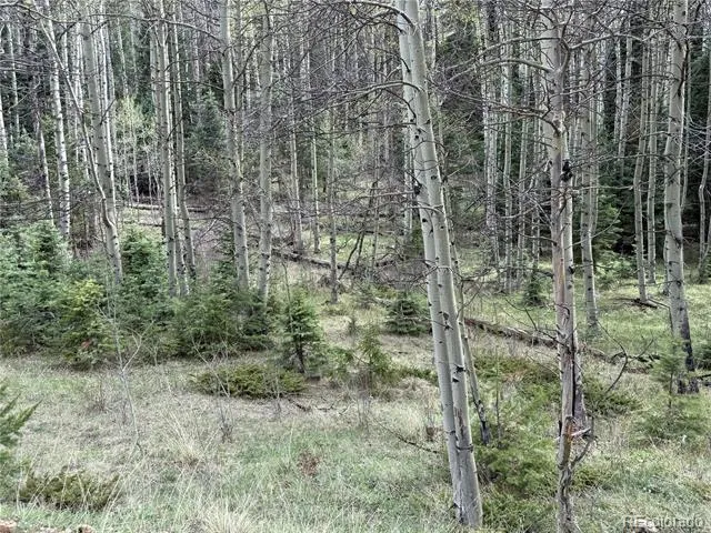 406-449 Schierl Road Fort Garland, CO 81133
