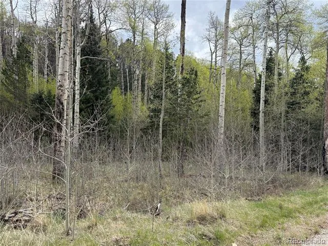 406-449 Schierl Road Fort Garland, CO 81133