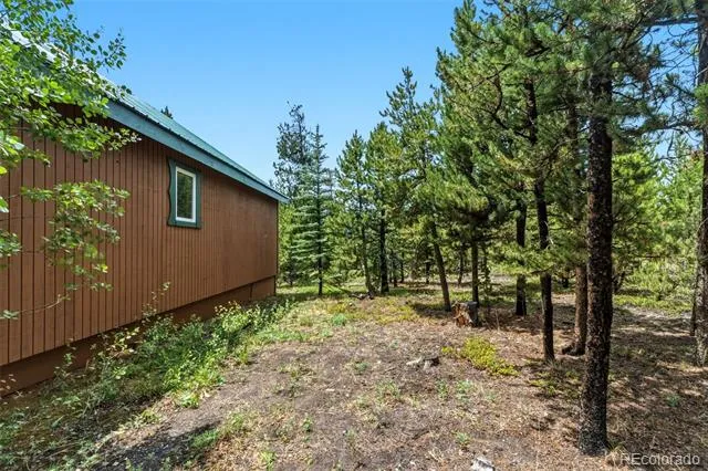 137 B ROAD Silverthorne, CO 80498
